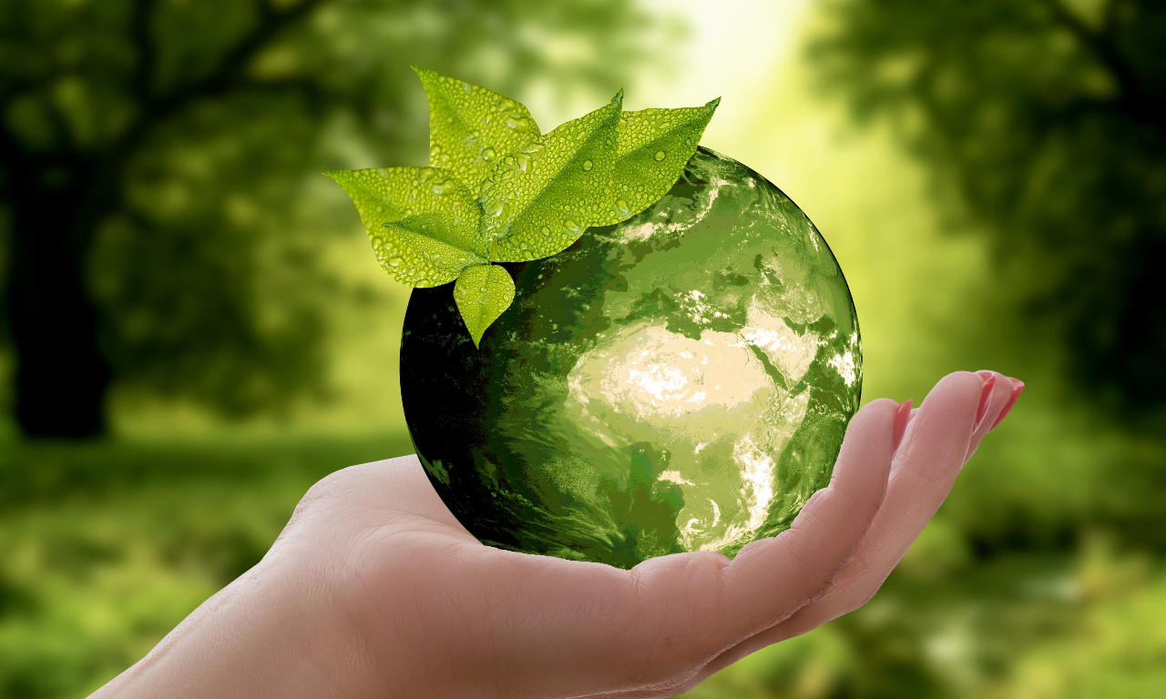 Read more about the article Sustainable procurement – setting up procedures